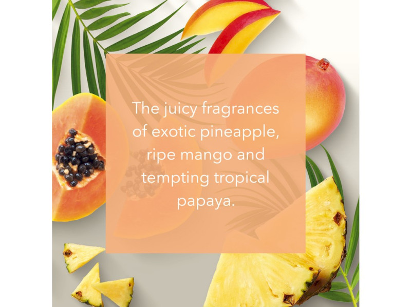 41382-tropical fruits - v